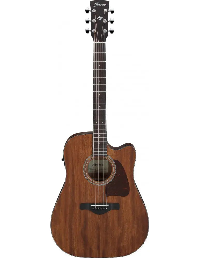 250321-ibanez_aw247ce_opn.webp