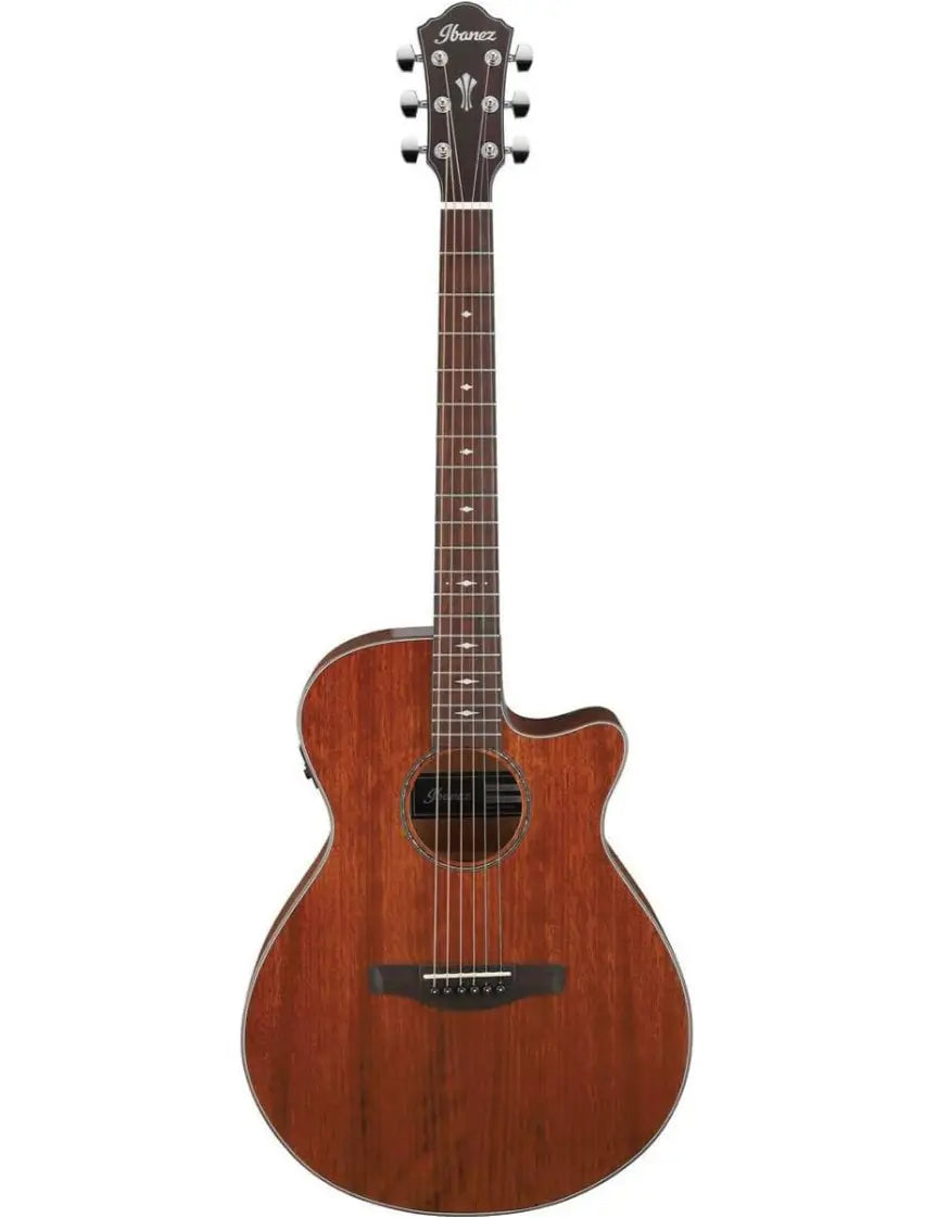 Ibanez AEG220