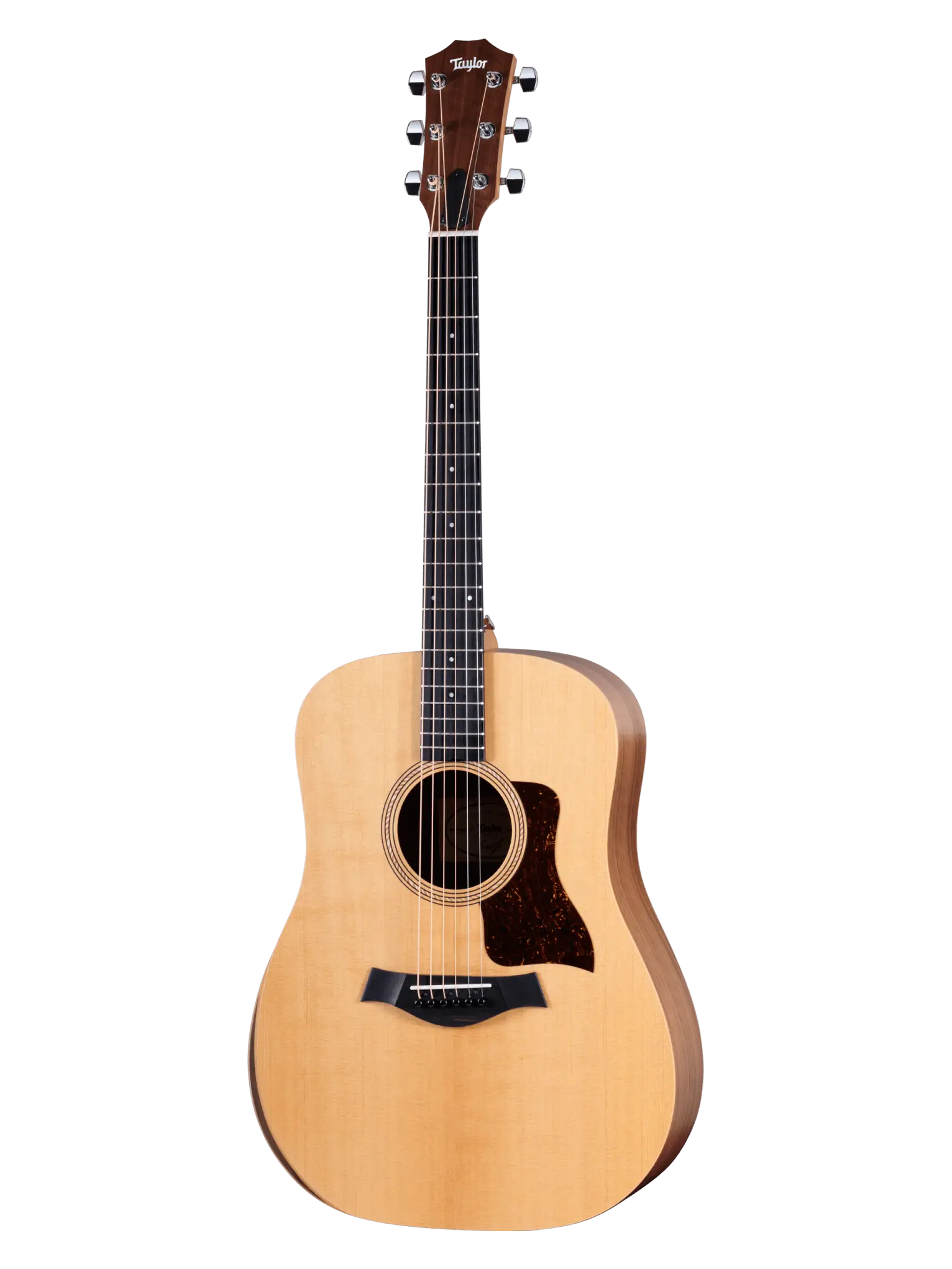 Taylor Academy 10