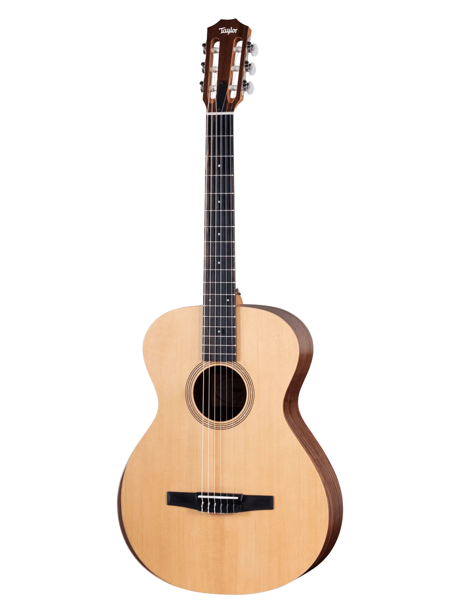 Taylor Academy 12-N