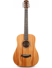Taylor BT2
