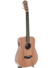 Taylor BT2