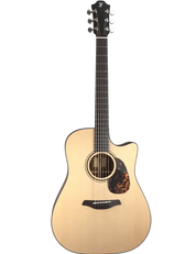 Furch Blue SW