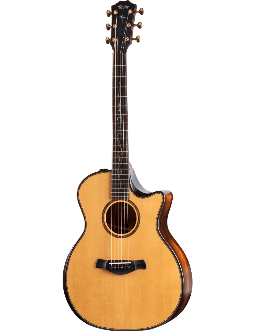 Taylor K14ce Builder's Edition