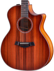 Taylor Custom #19