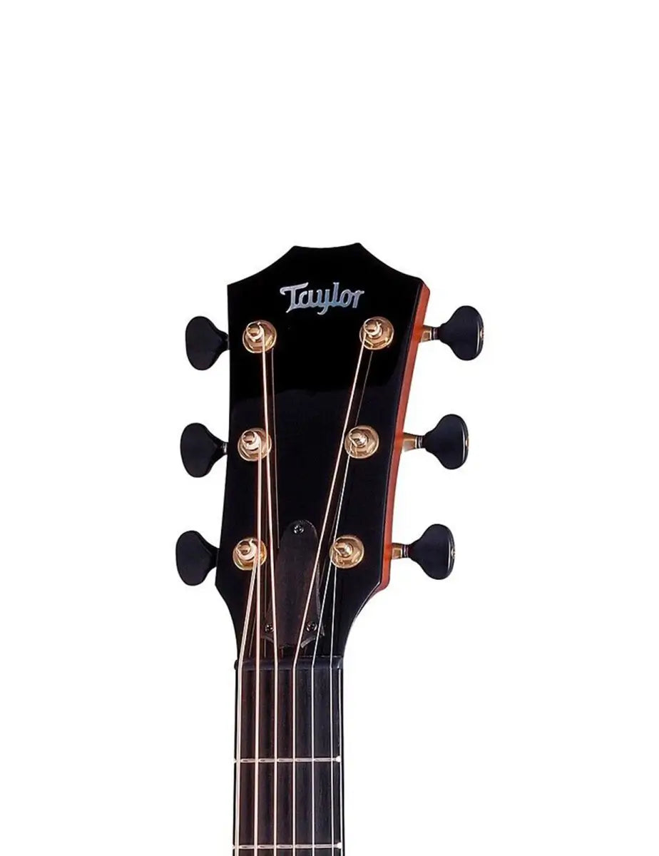 Taylor Custom #19