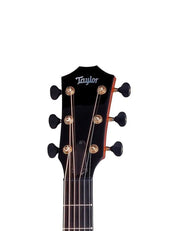 Taylor Custom #19