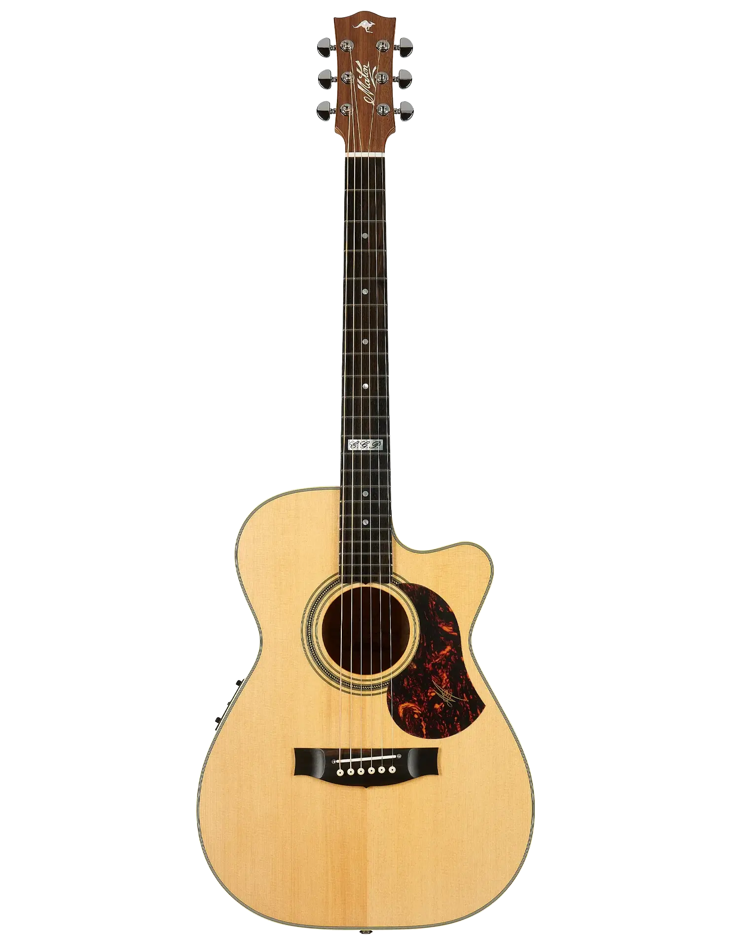 Maton EBG808C-TE