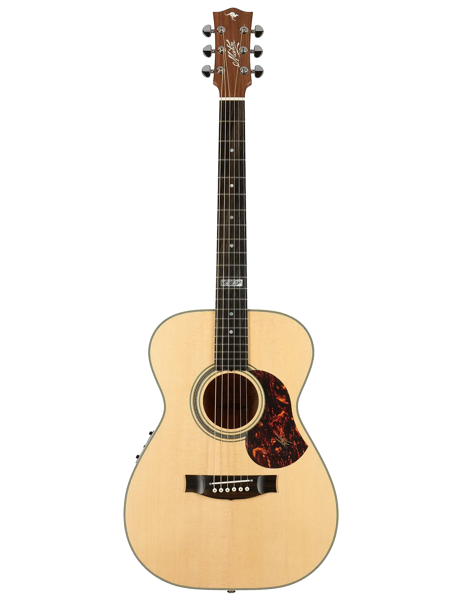 Maton EBG808TE