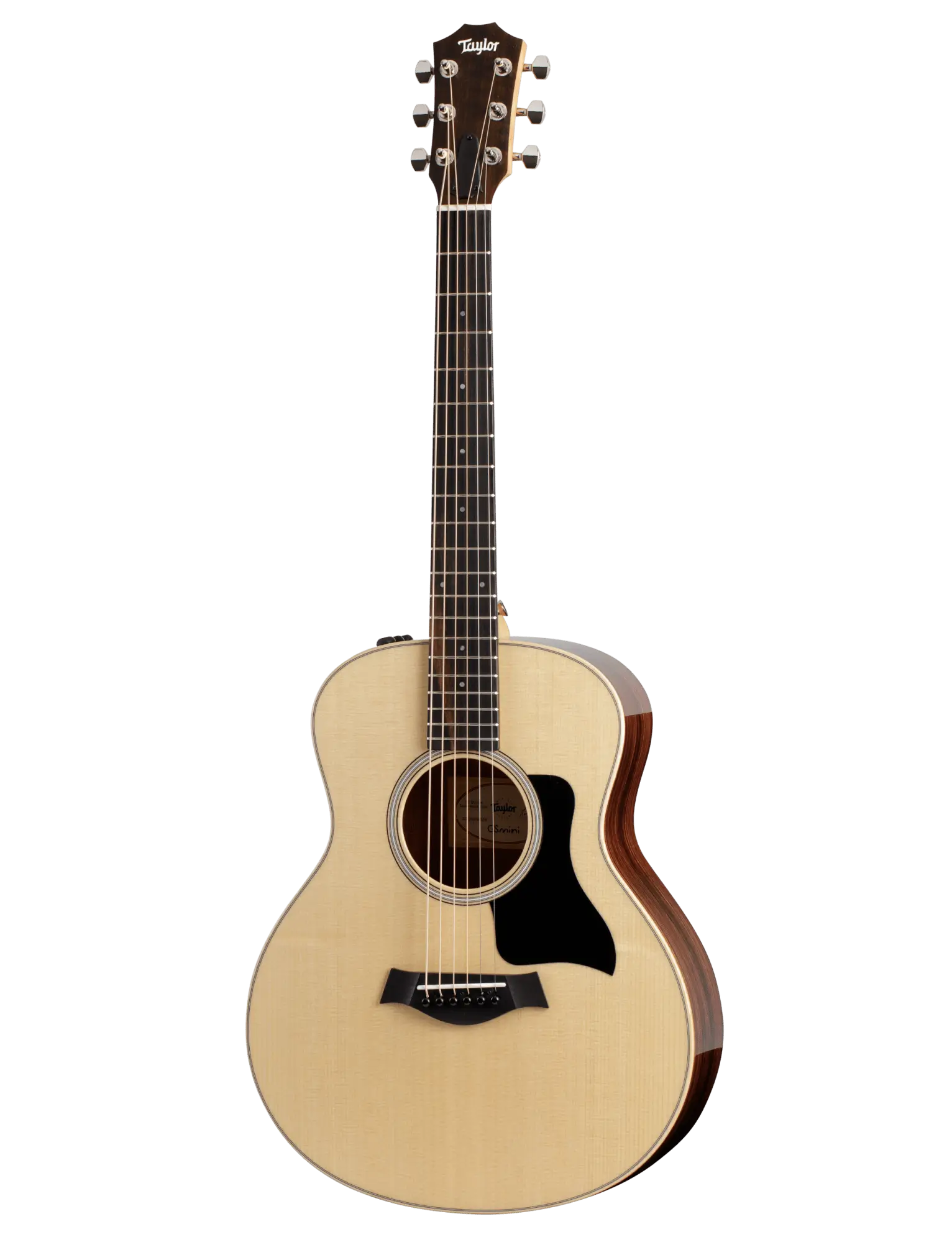 Taylor GS Mini