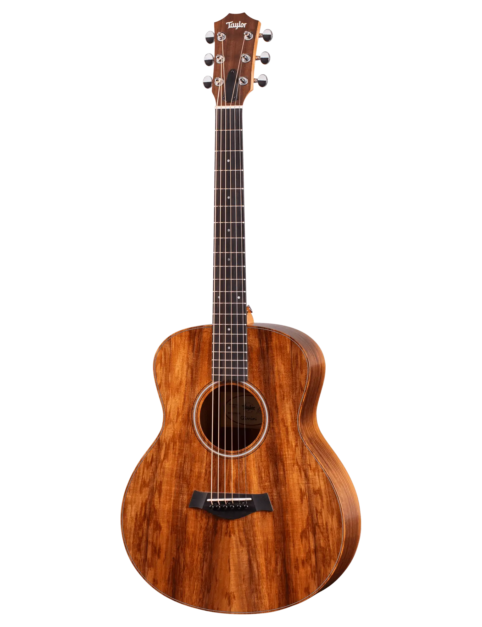 Taylor GS Mini