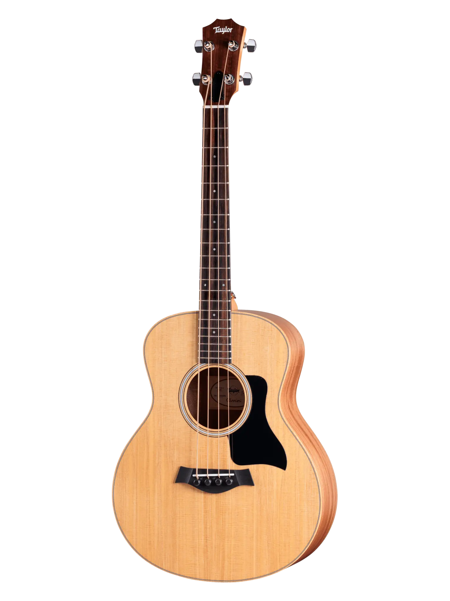 Taylor GS Mini