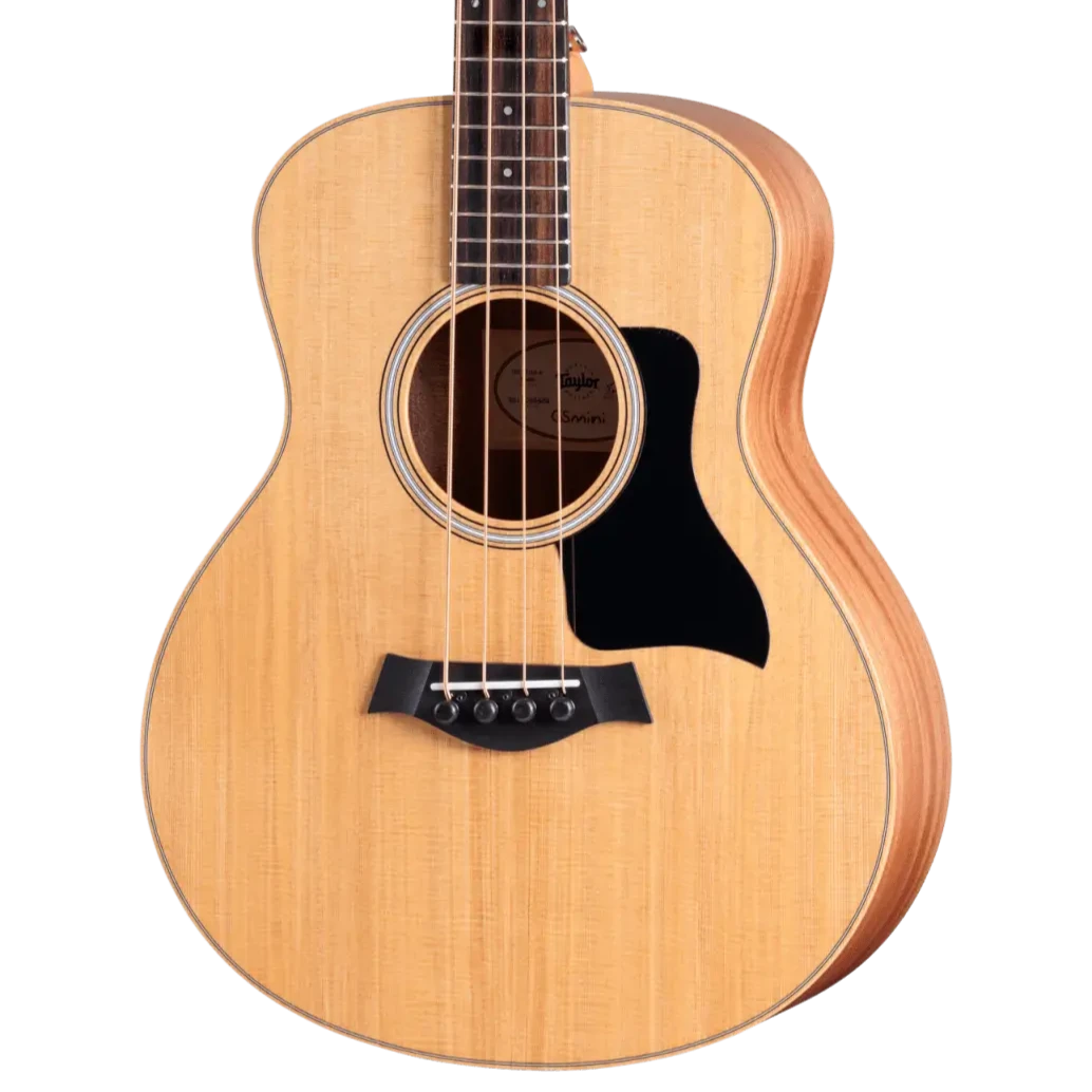GS Mini-e Bass