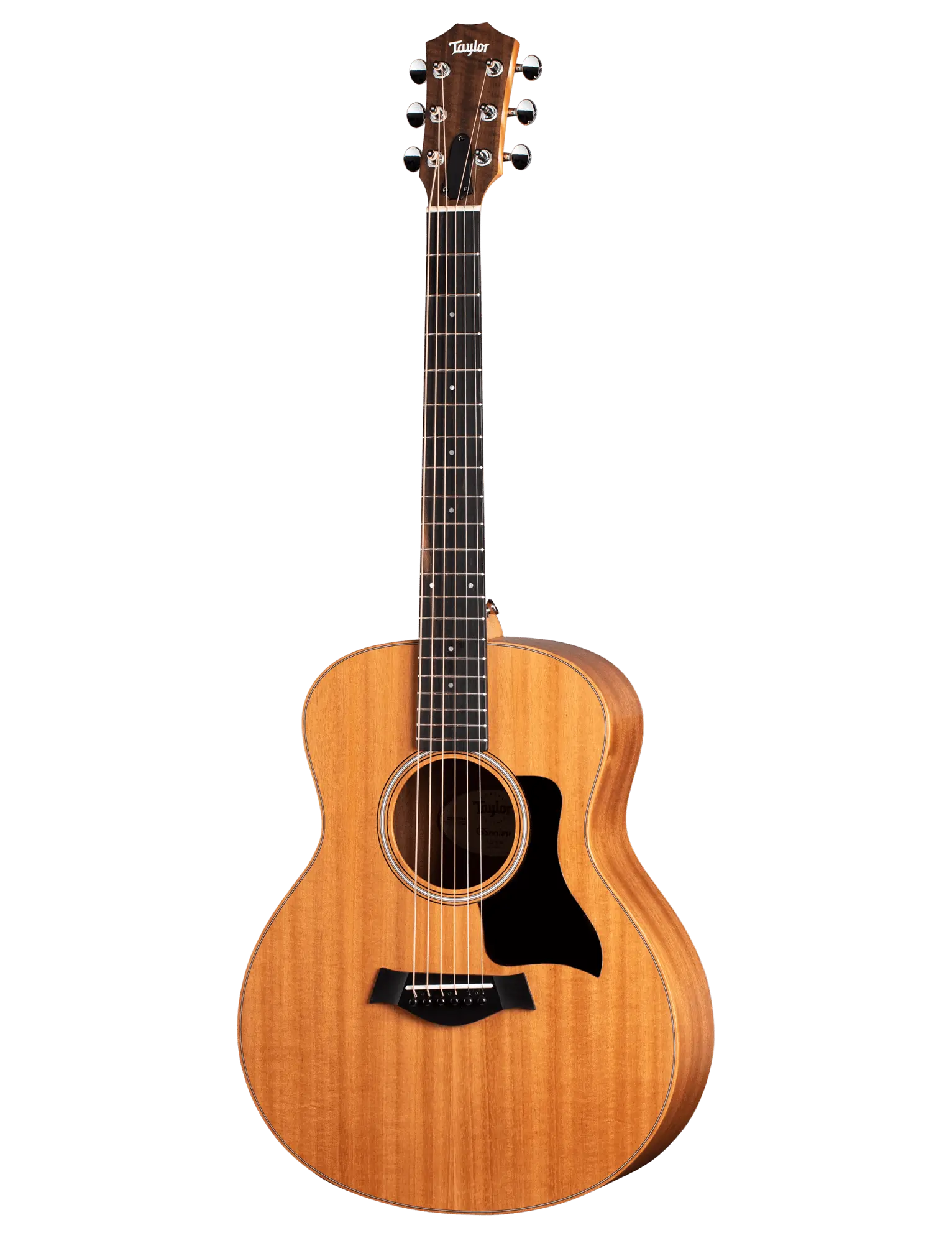 Taylor GS Mini