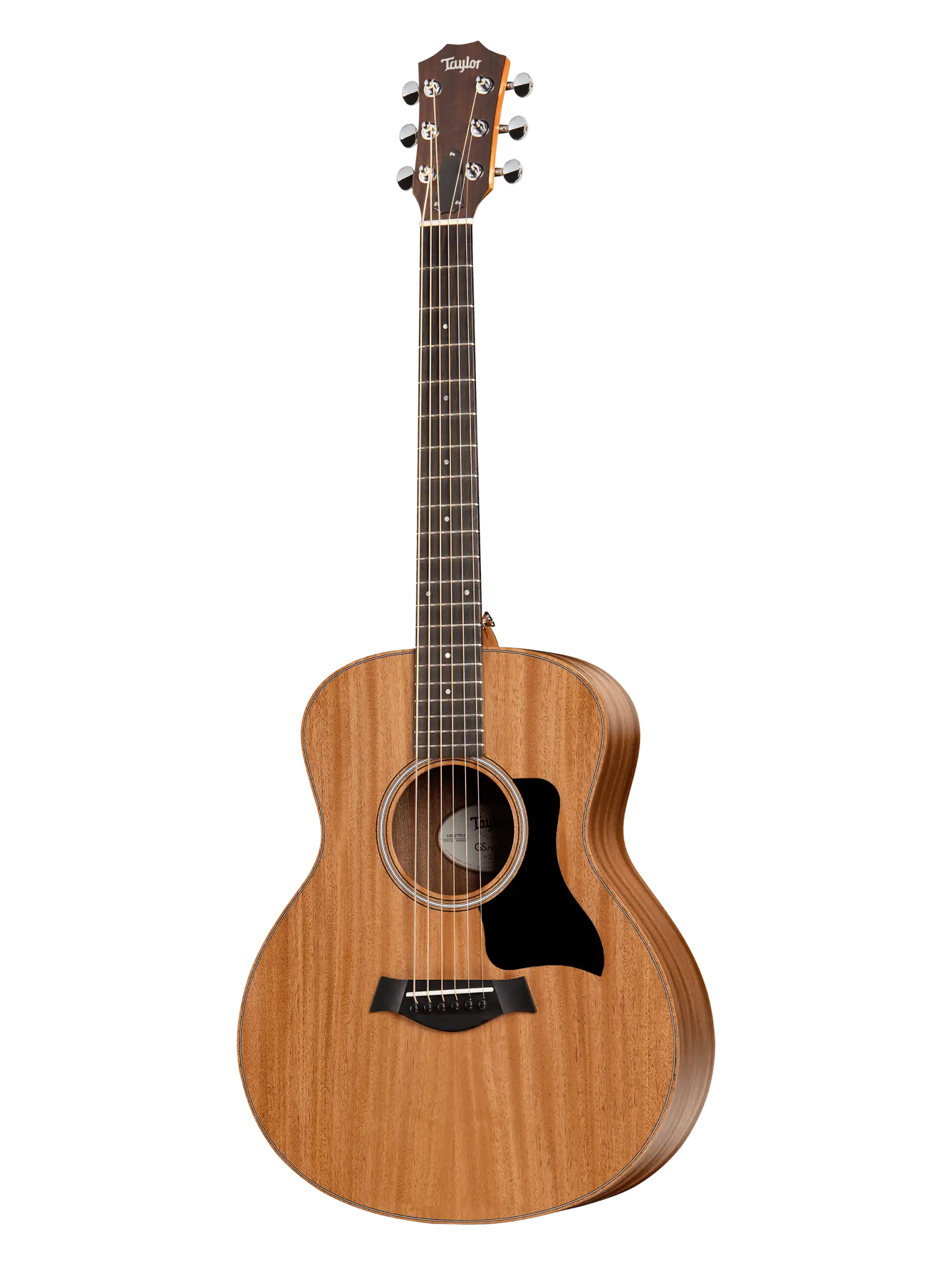 Taylor GS Mini