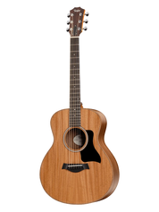 Taylor GS Mini
