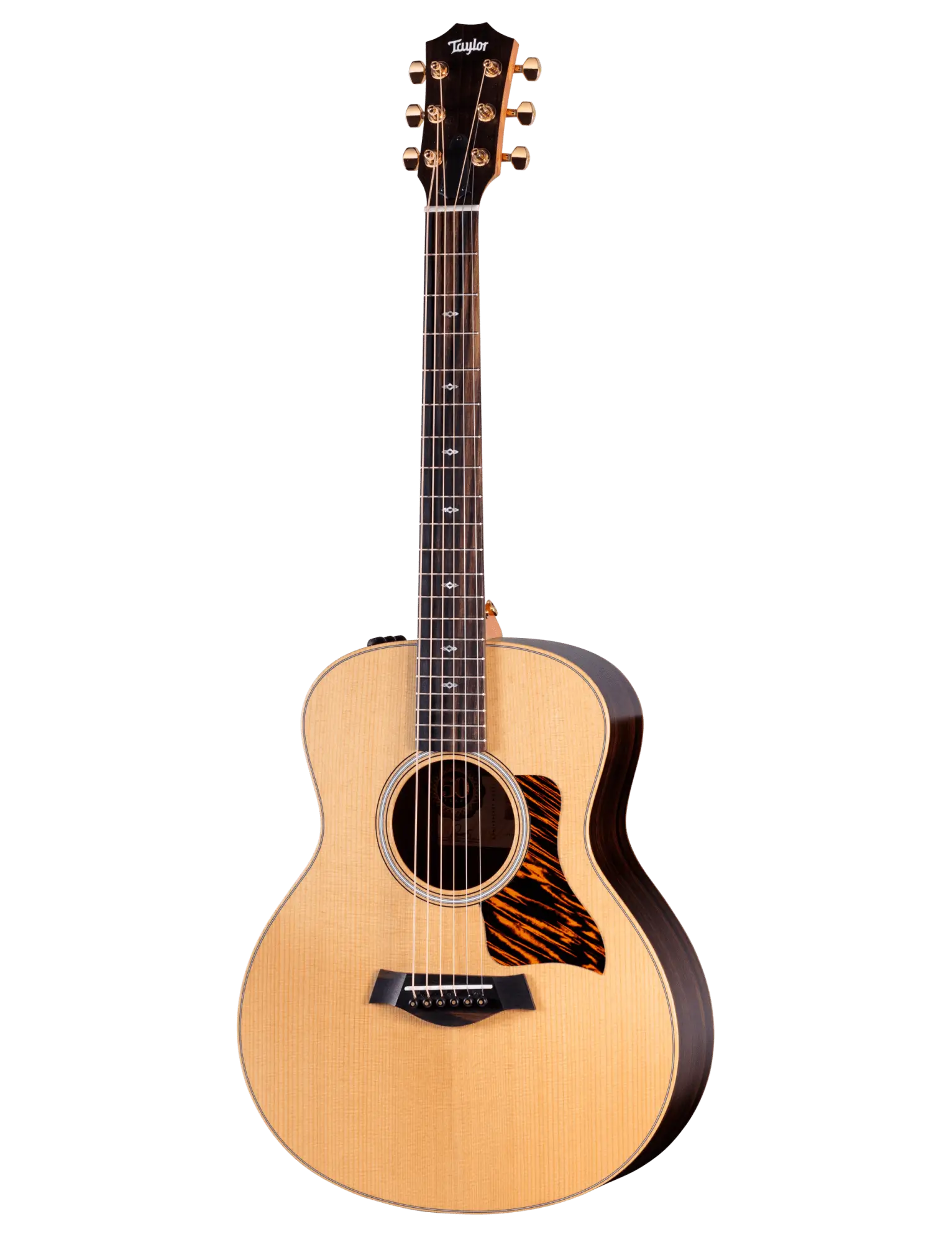 Taylor GS Mini