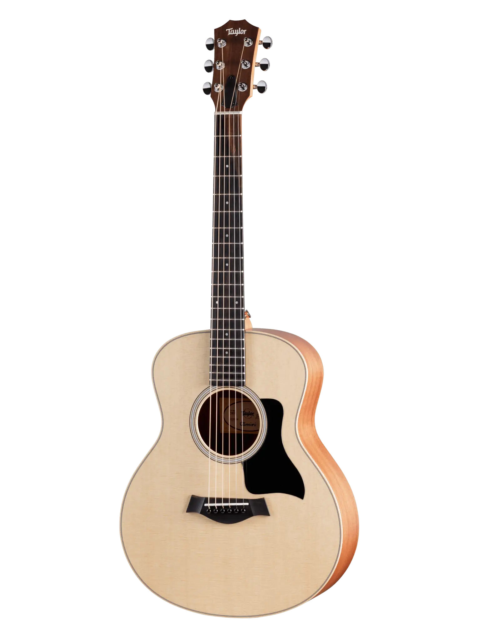 Taylor GS Mini