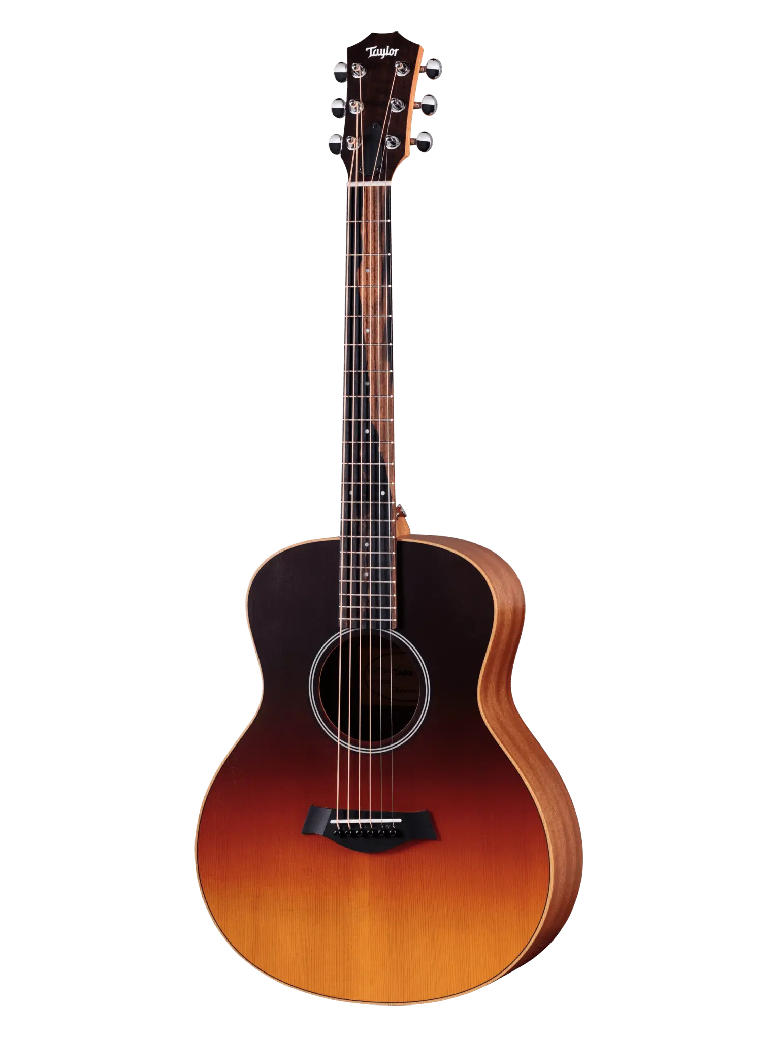 Taylor GS Mini