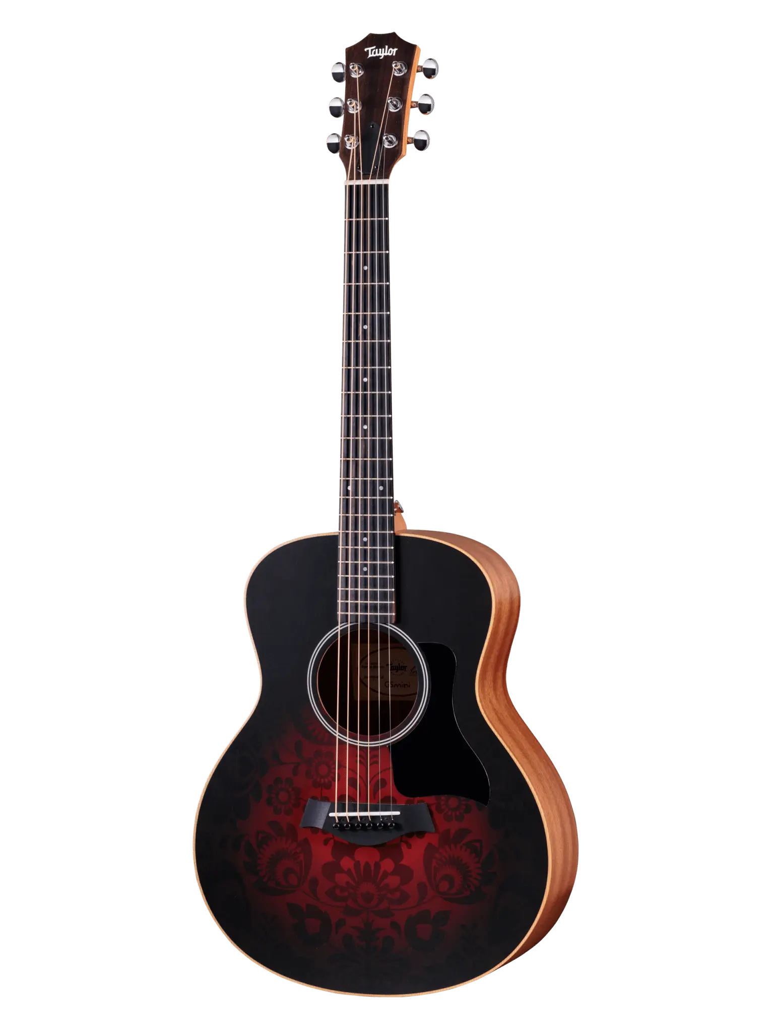 Taylor GS Mini