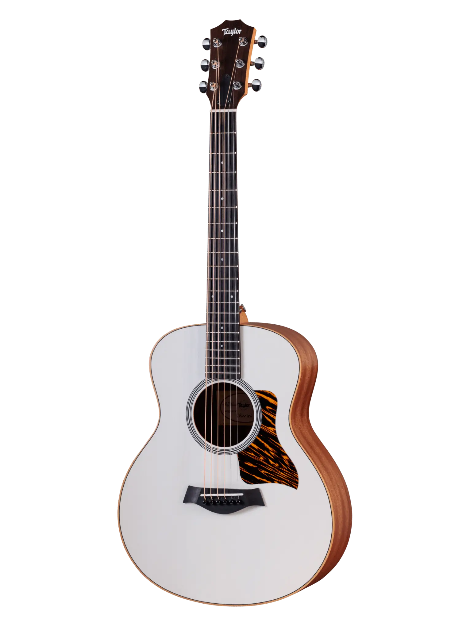 Taylor GS Mini