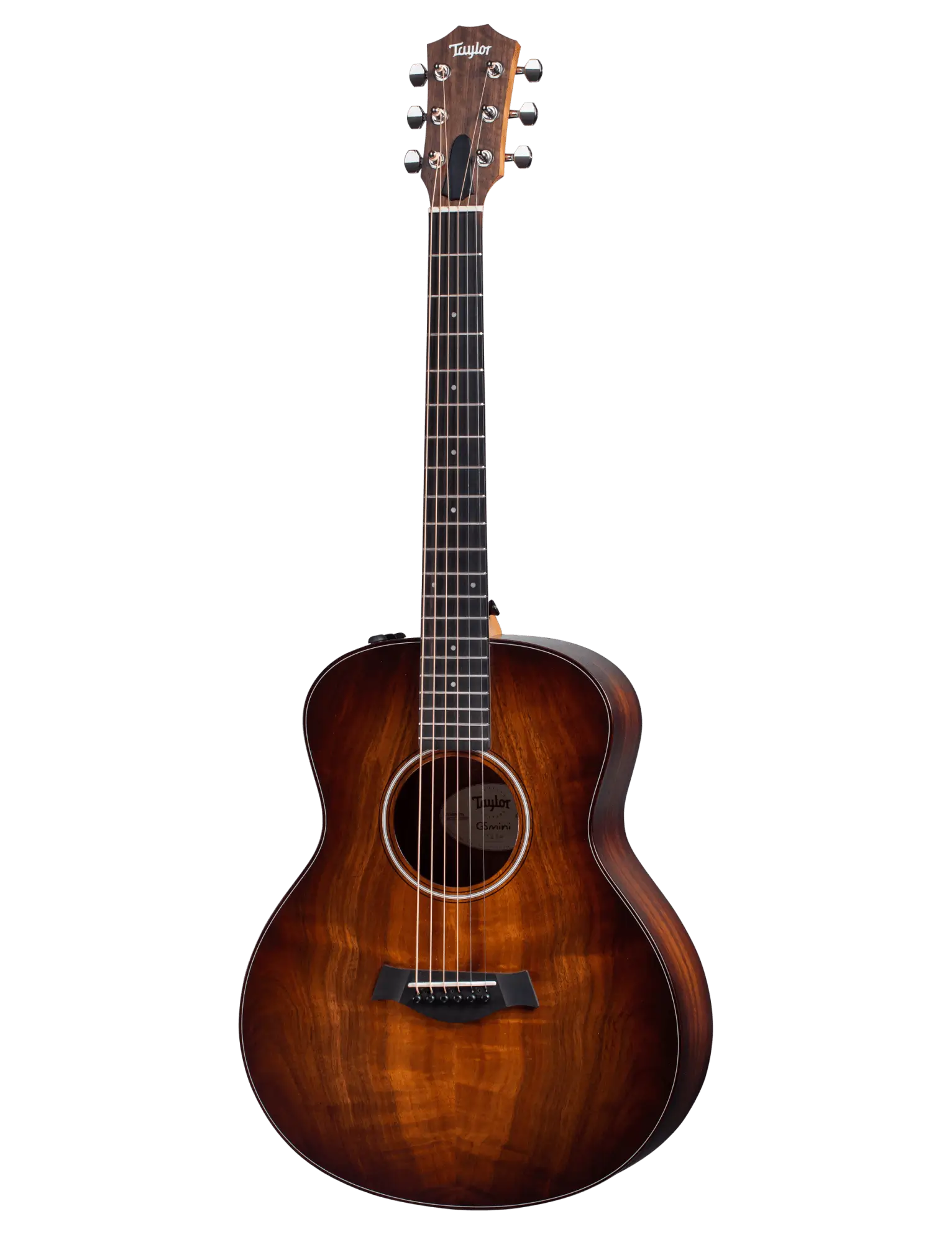 Taylor GS Mini