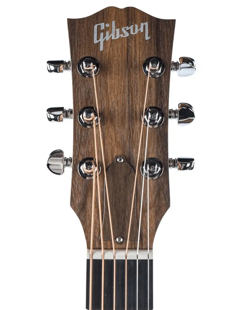 Gibson G-Bird