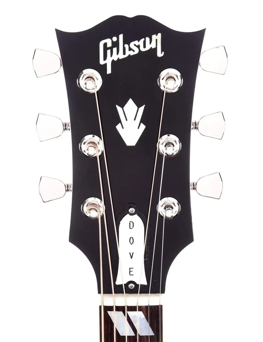 Gibson Dove