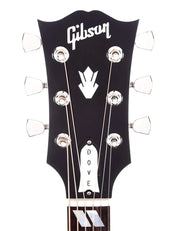 Gibson Dove