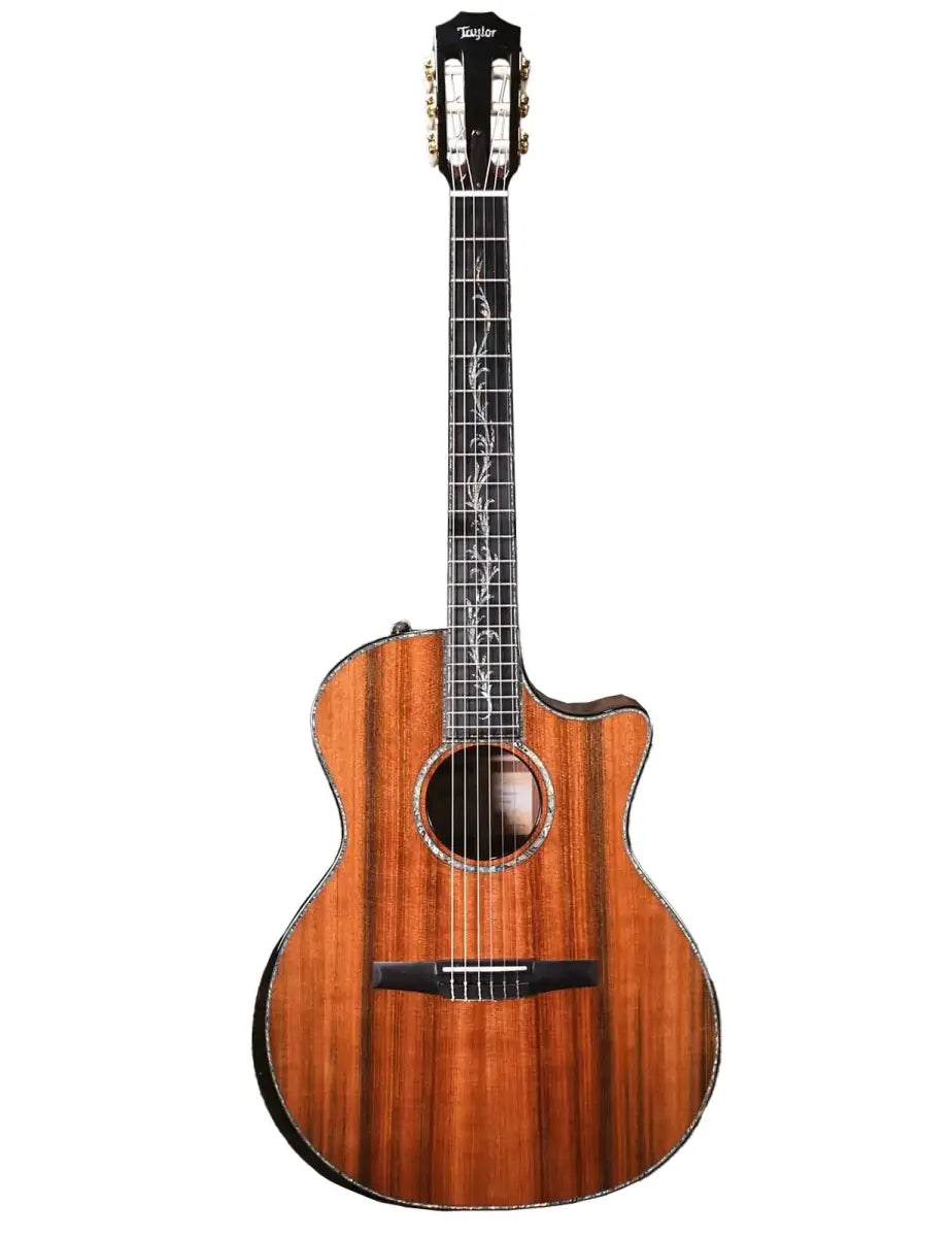 Taylor PS14ce-N