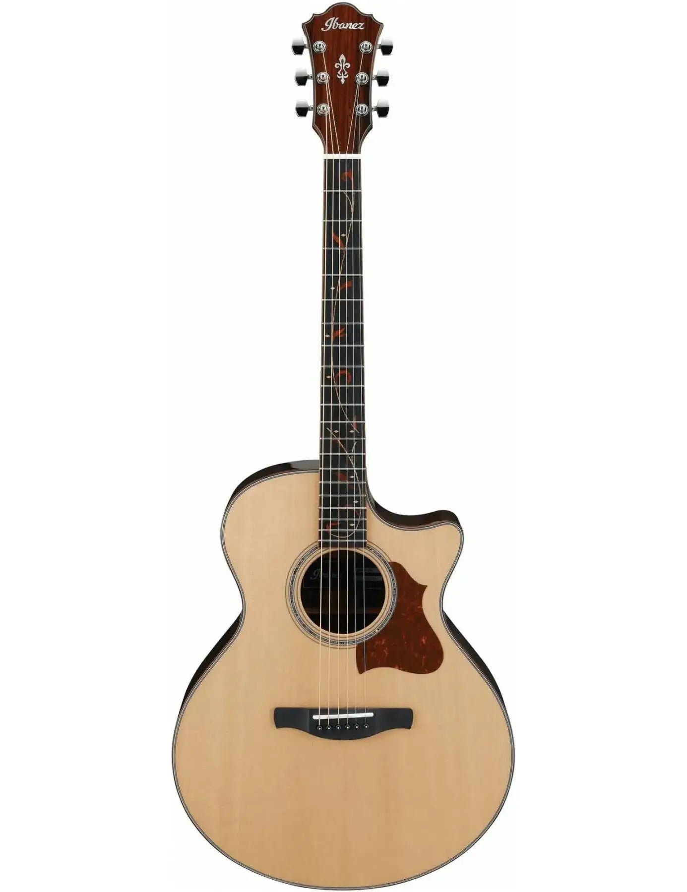 Ibanez AE900