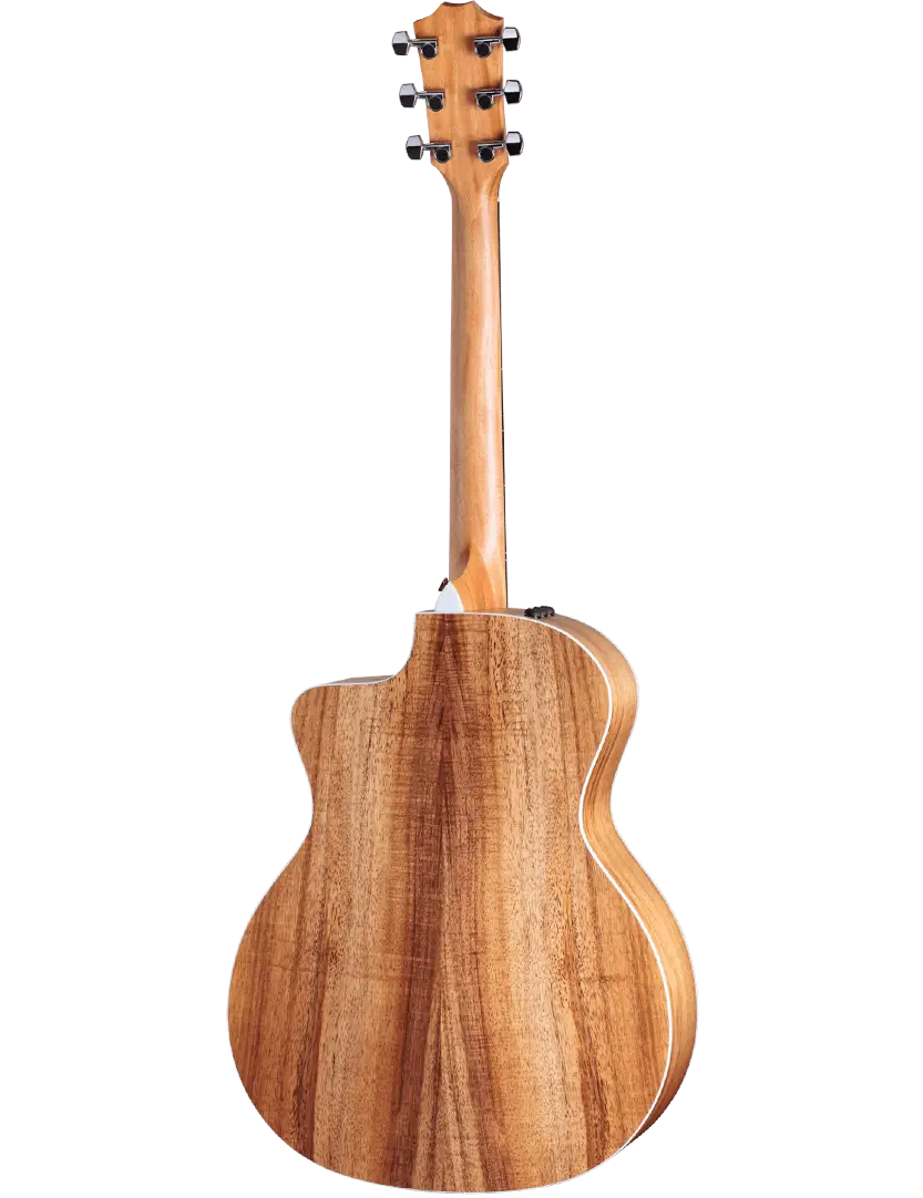 Taylor-214ce-K-2211103291-BackLeft-2023.webp