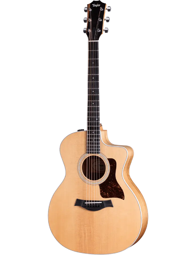 Taylor-214ce-K-2211103291-FrontLeft-2023.webp
