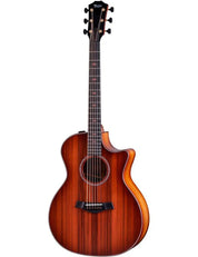 Taylor Custom #19