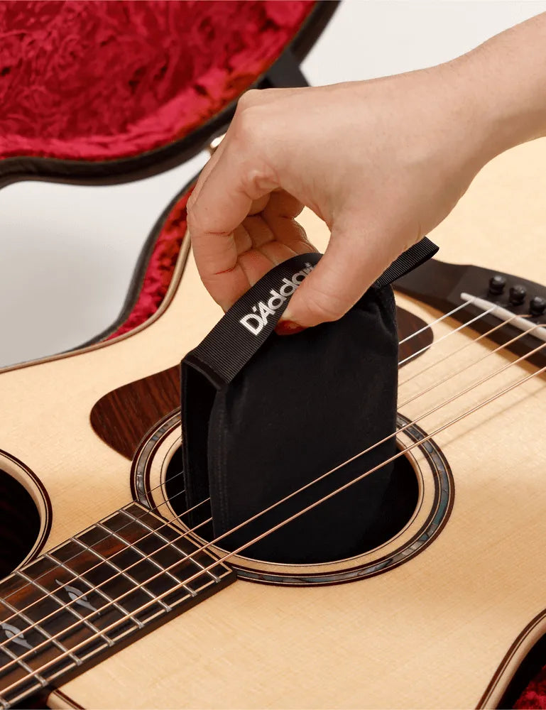 D'Addario PW-HPK-01 Planet Waves Two-Way Humidification System