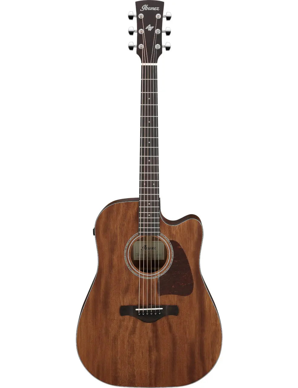 Ibanez AW1040CE
