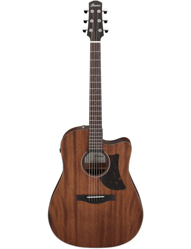 Ibanez AAD190CE