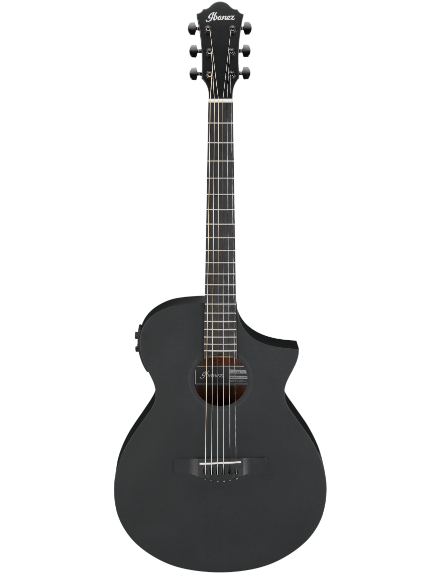 Ibanez AEWC13