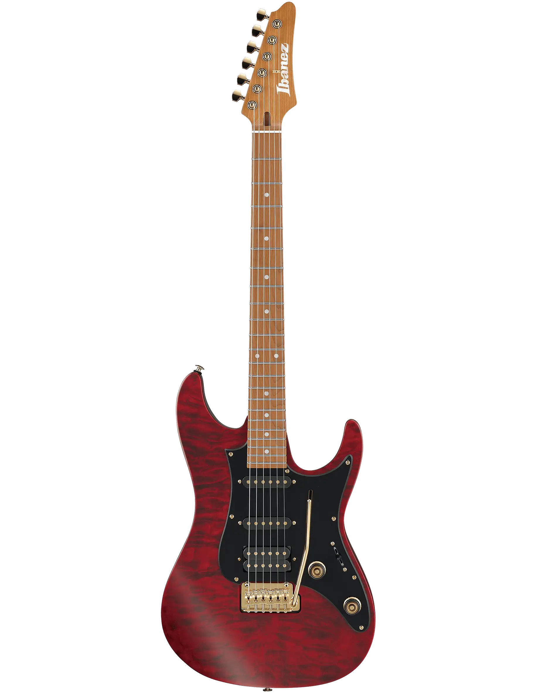 Ibanez SLM10