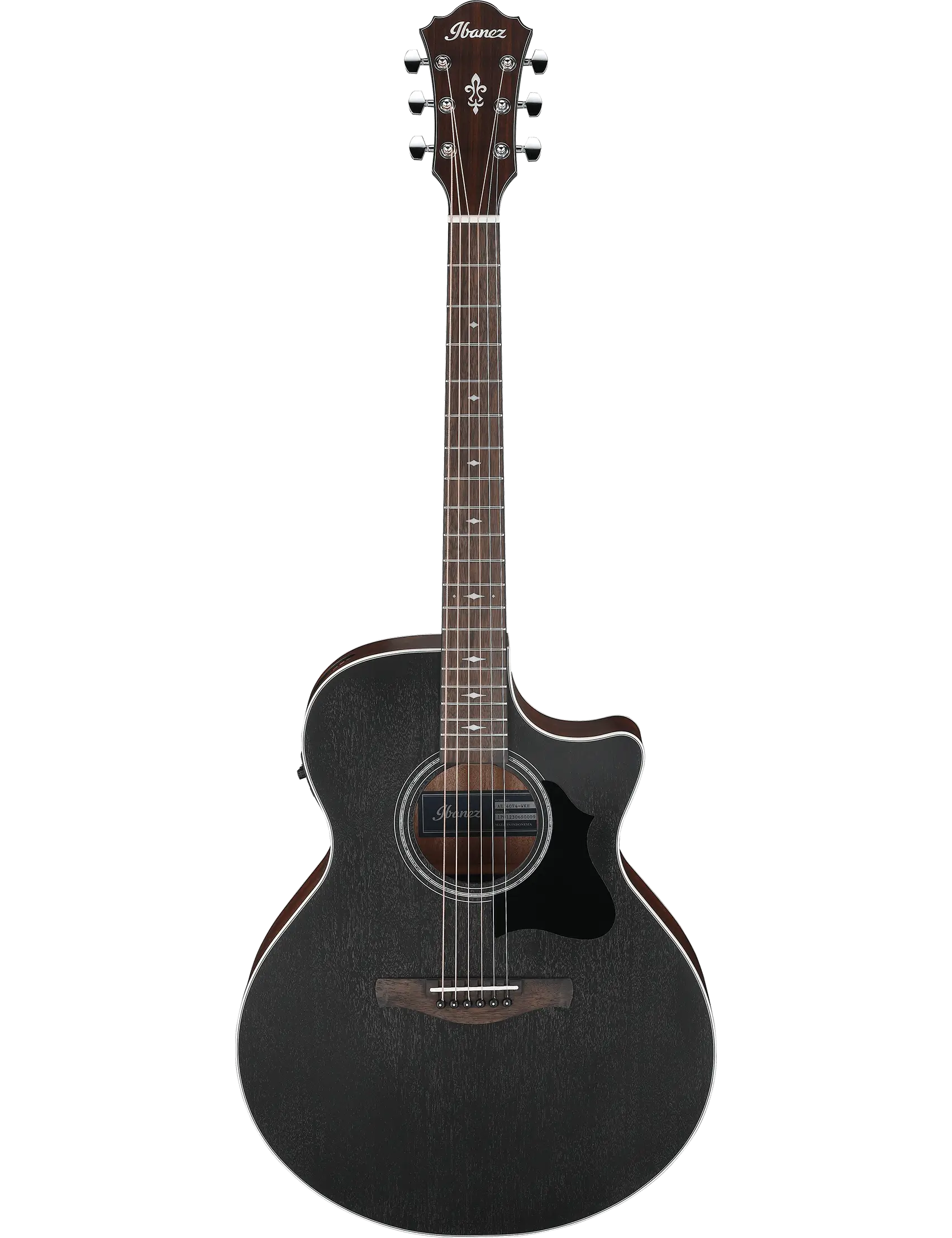 Ibanez AE140