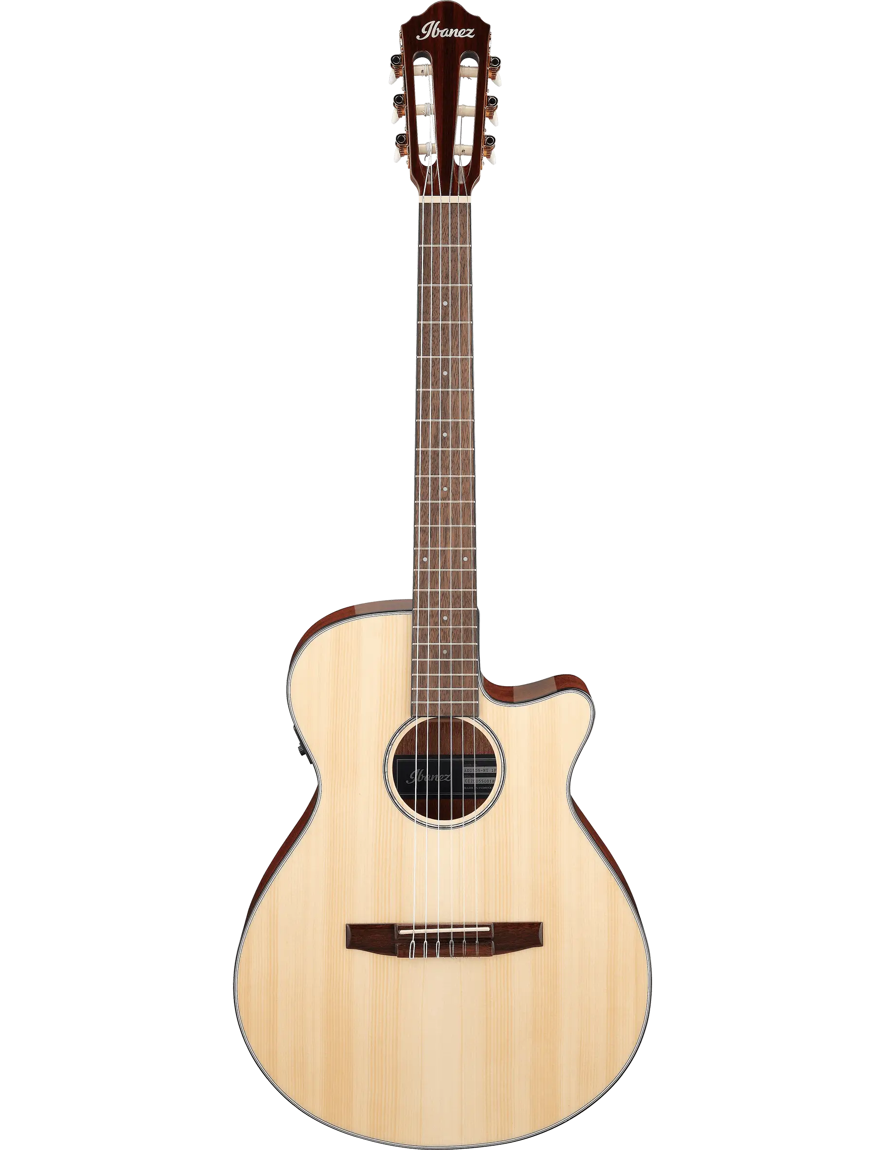 Ibanez AEG50N