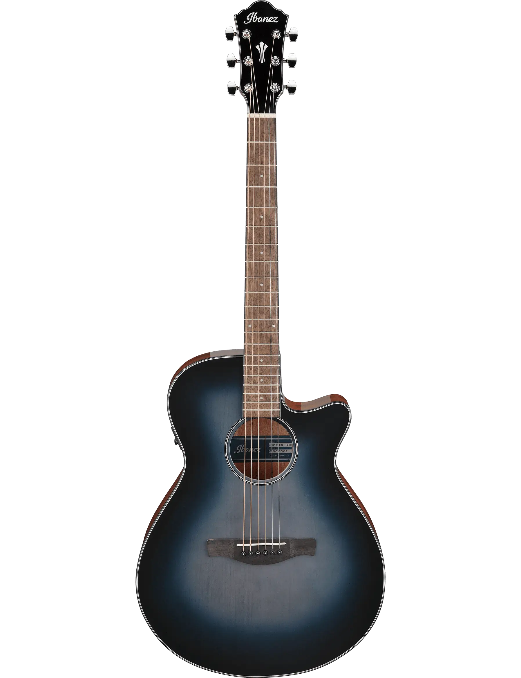 Ibanez AEG50