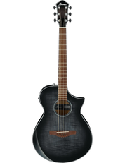 Ibanez AEWC400