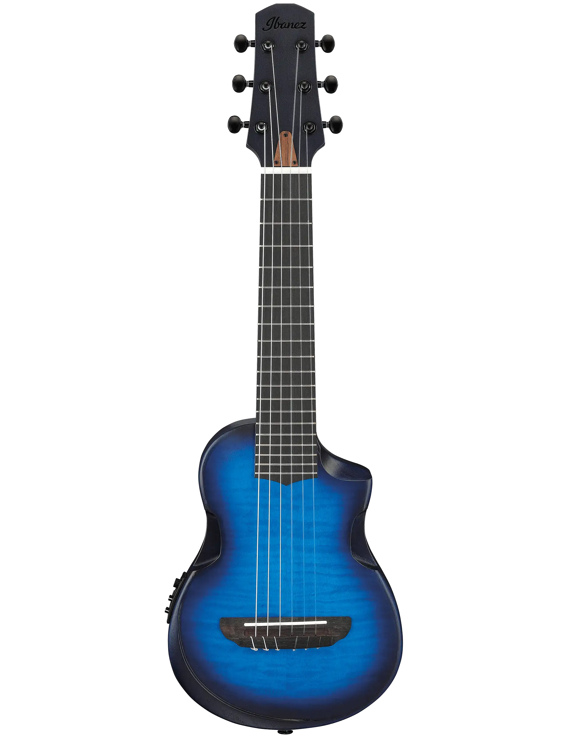 Ibanez AUP10FMNE