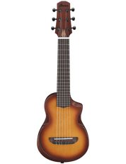 Ibanez AUP10N