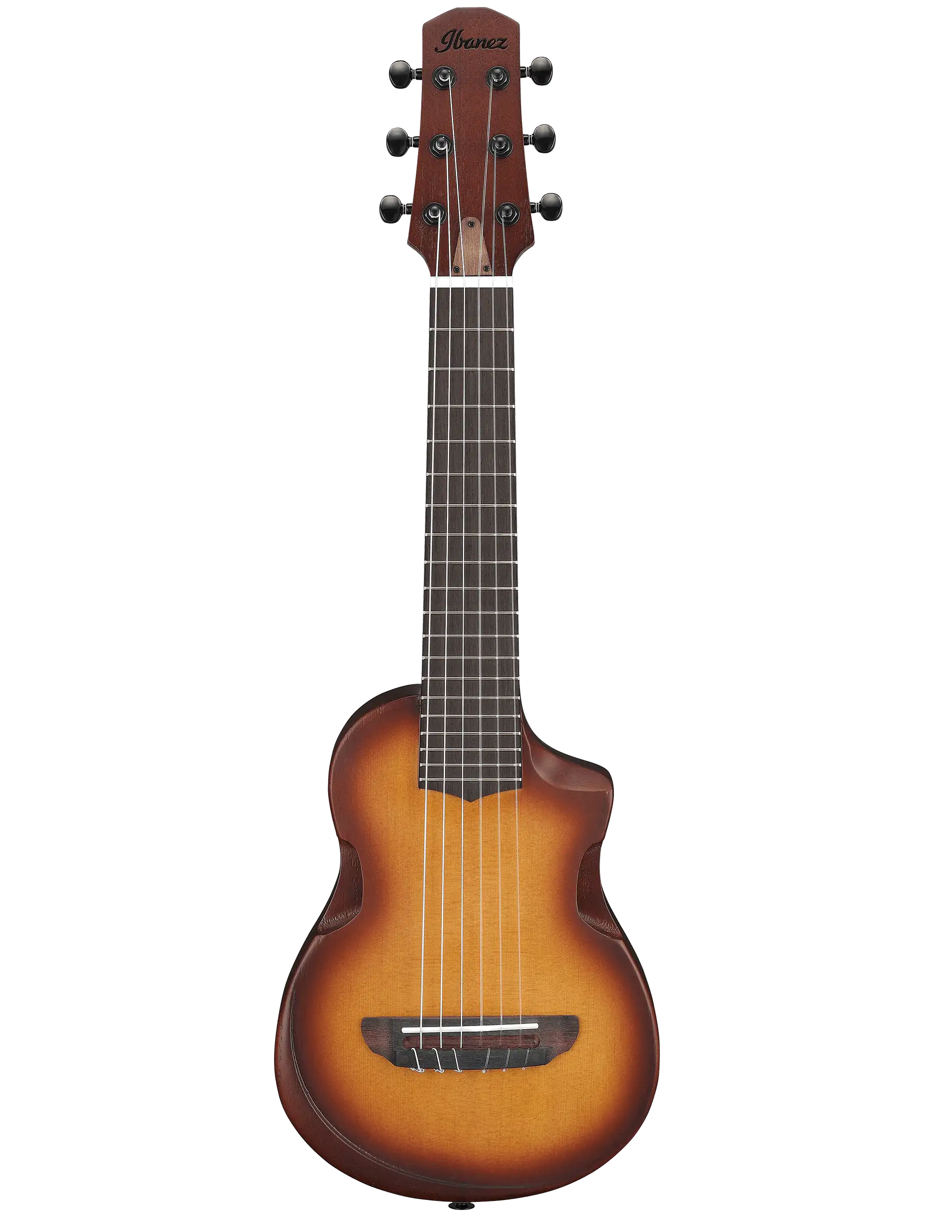 Ibanez AUP10N