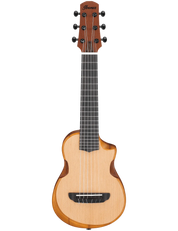 Ibanez AUP10N