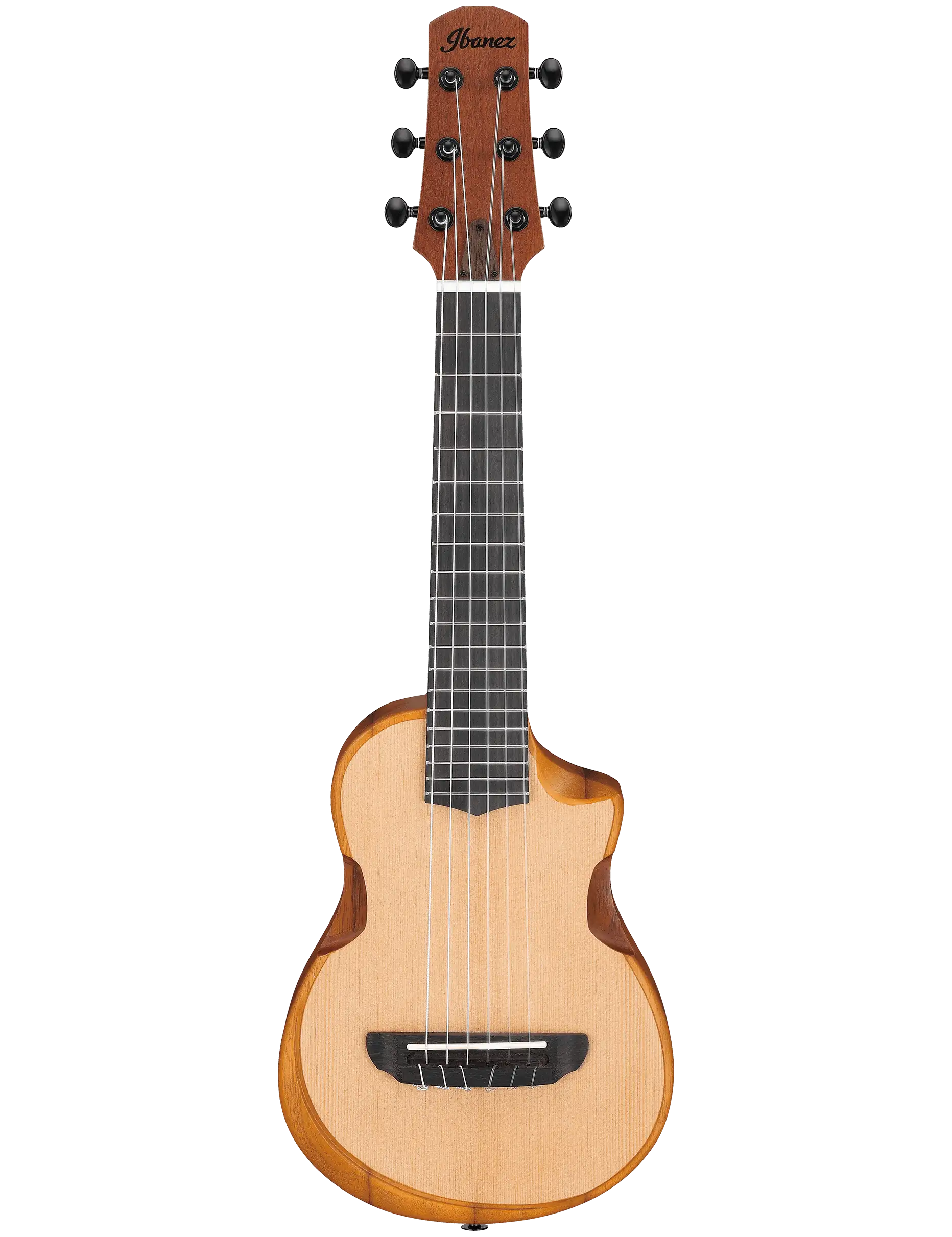 Ibanez AUP10N