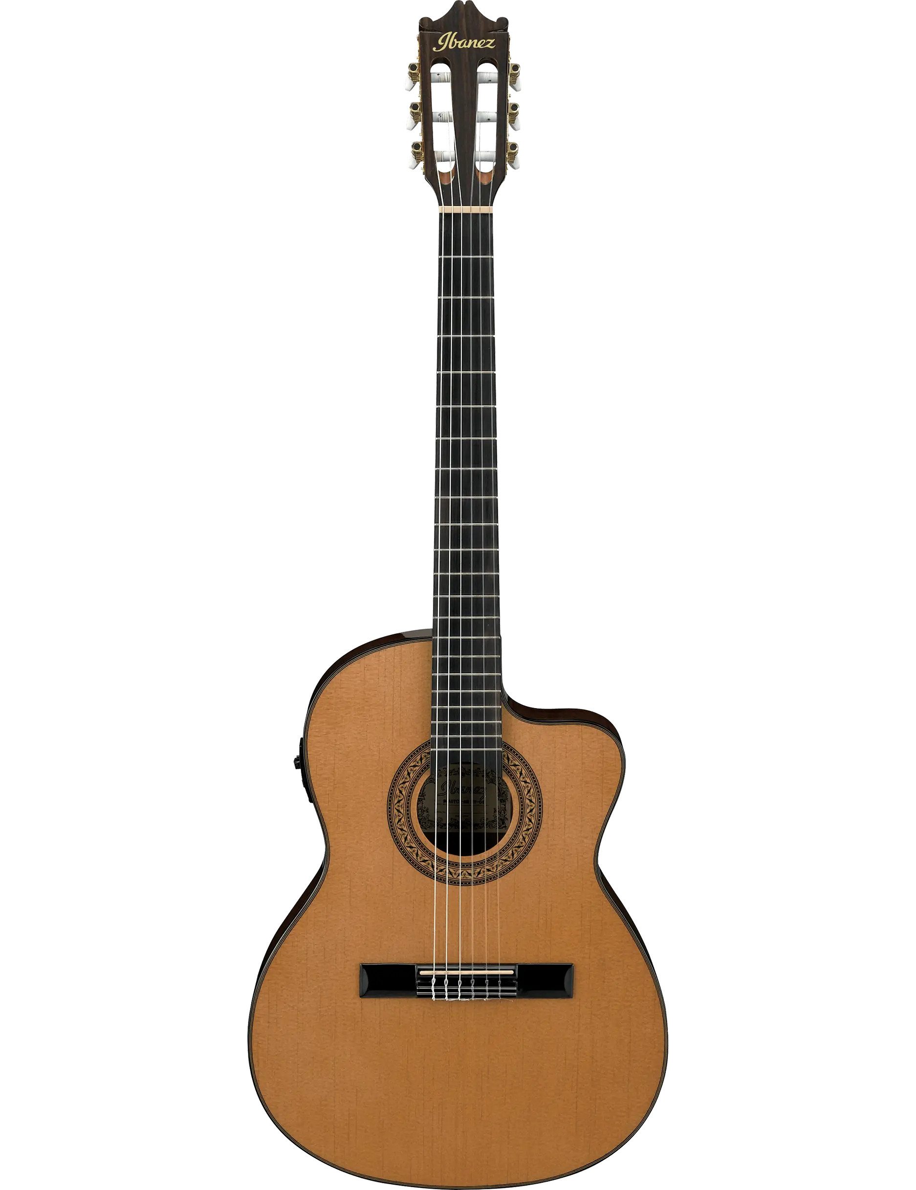 Ibanez GA5TCE
