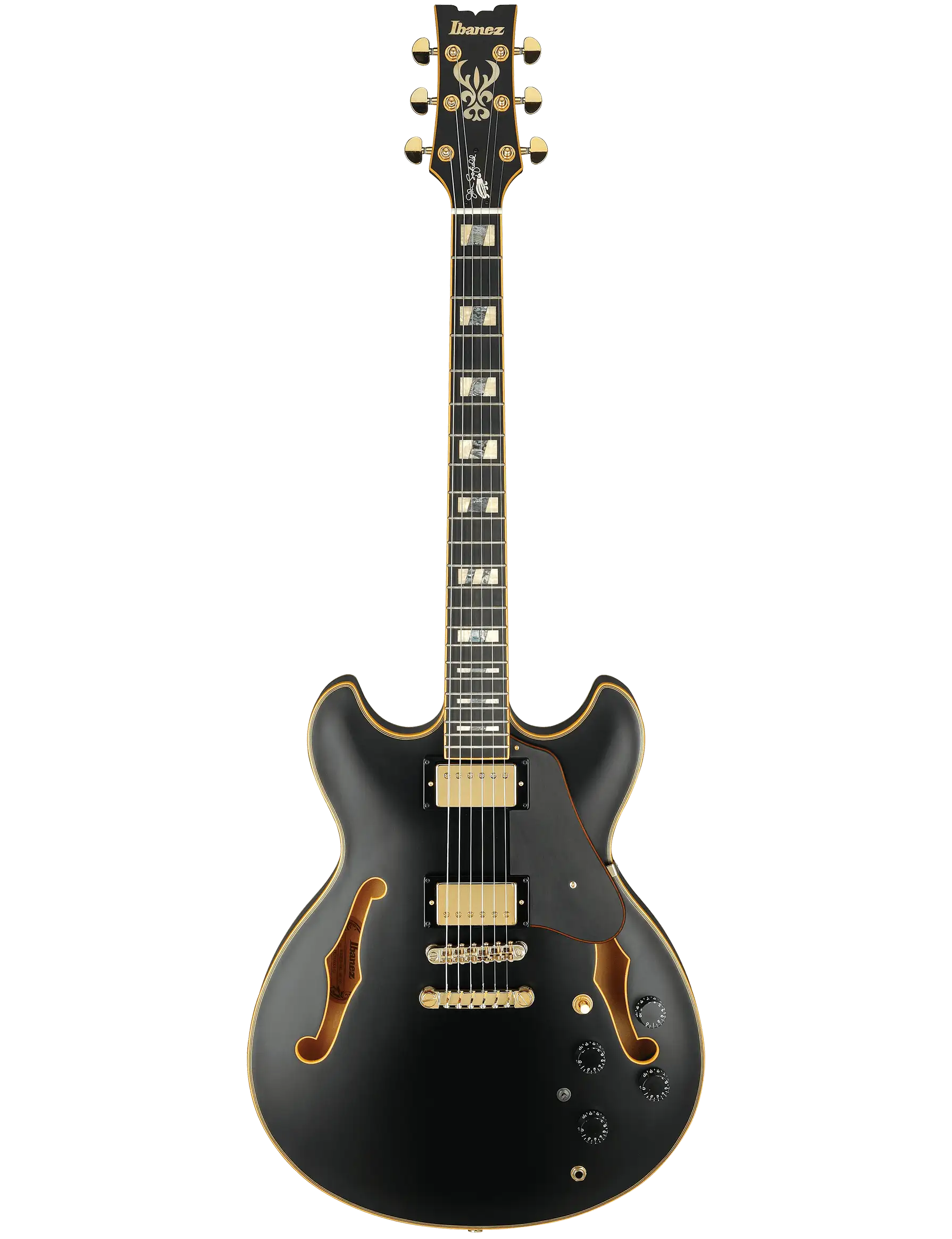 Ibanez JSM20